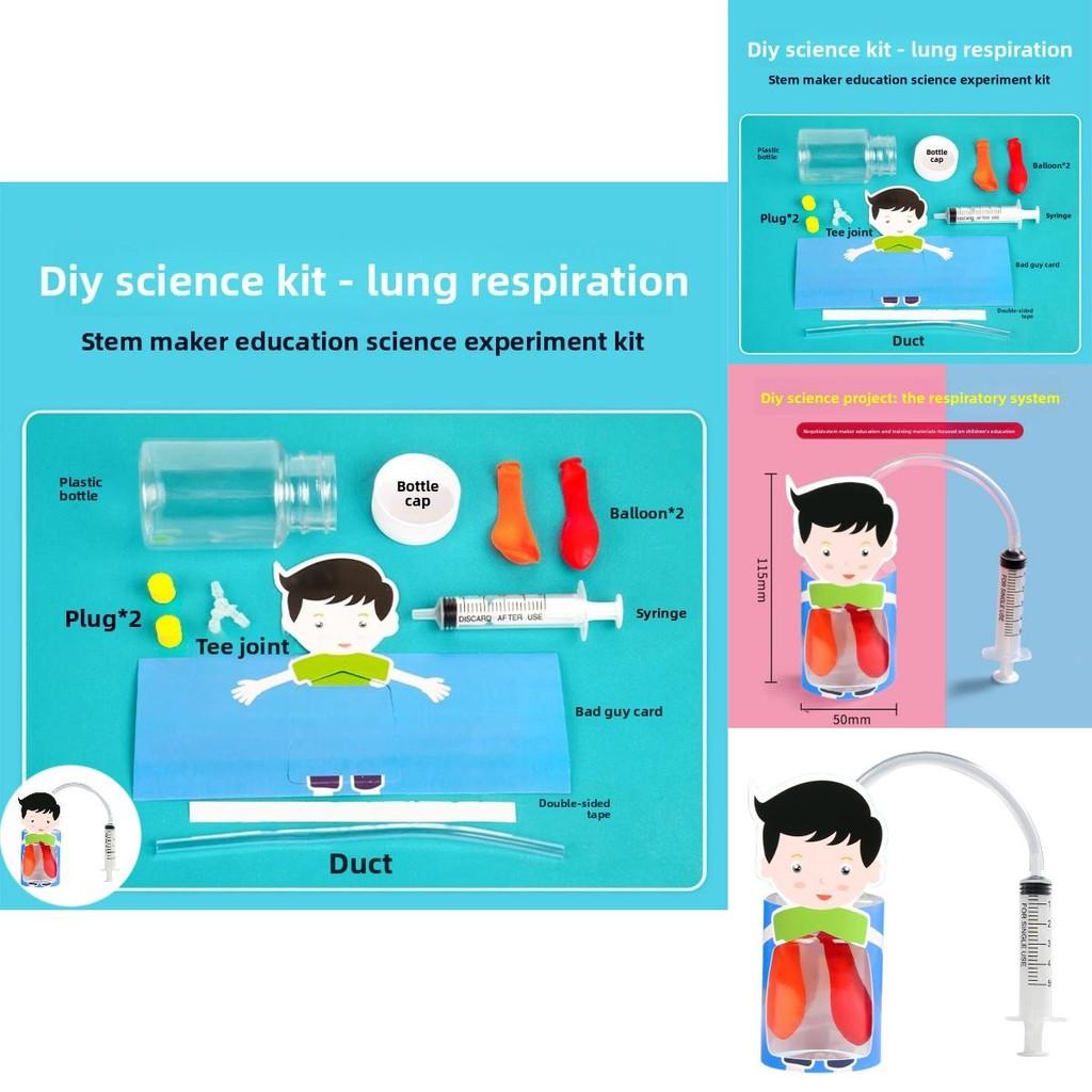 Kids Diy Physiology Model Of Lung Movement For Science Education And Handson Learning