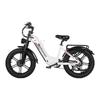 Nathaniel SYR08 City Commuting E-Bike, Doppelmotor 2000W, 20x4.0 Integriertes Rad, 48V20AH, Geschwindigkeit 50+, Schnee/Sand Outdoor-Fahrrad