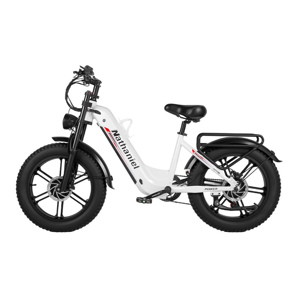 Nathaniel SYR08 City Commuting E-Bike, Doppelmotor 2000W, 20x4.0 Integriertes Rad, 48V20AH, Geschwindigkeit 50+, Schnee/Sand Outdoor-Fahrrad