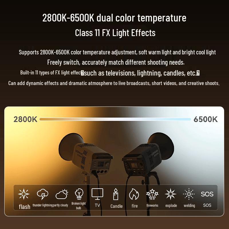 Godox LE300Bi Bi-Color LED Video Light