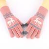 Winter new plush gloves cycling knitted gloves autumn and winter girls cute cold touch screen student warm gloves