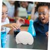 TENDYCOCO Human Brain Model: Human Brain Anatomy Model with Display Base, White for Learning Science Classroom Research Display Medical Education