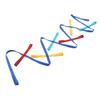 Walking Rope Webbing Material Attractive Colorful Enough Space Fixed Position Preschool Line Rope