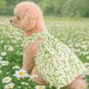 Sleeveless Cat Suspender Skirt Soft Dog Floral Dress Cat Gentle Dress Dog Vest  Spring Summer