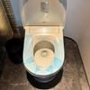 Disposable Full Coverage Toilet Seat Cover - Travel-Friendly Adhesive, Anti-Dirty Seat Cushion for Hotels