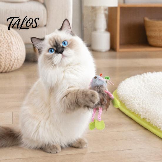 Self-Amusing Cat Toys for Solo Play Bungee Plush Toy, Pull String Bouncy Dangler Interactive Kitten Lightweight Cats To Carry Hanging Bouncing Animal