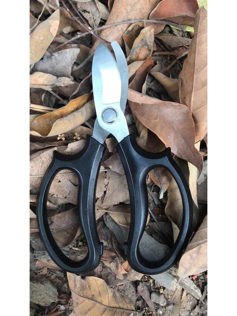 Thickened Gardening Shears - Pruning Flower & Branch Cutters
