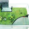 Floating Fish Feeder Ring Buoyant Durable Aquarium Feeder Aquarium Accessory Anti-scattering Fish Food Dispenser
