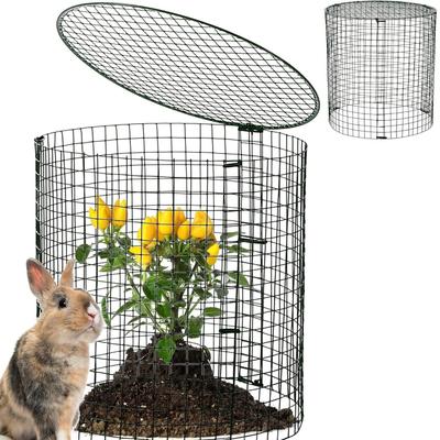 DIY Plant Protective Cage Wire Mesh Cover 300x300mm 3-Piece Set for Garden Plant Protection Against Animals and Environmental Damage