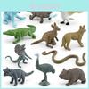 Australien Tierfiguren PVC Koala und Känguru Sets mit statischem Design für Wildtierdekoration und Sammler