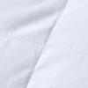Fang'en FN-B6101 White Goose Down Comforter