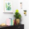 6Pcs Small Plastic Plant Trellis for Climbing Plant Indoor House Plant Support Trellis for Garden Potted Plant Support