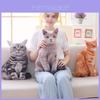 Adorável Almofada de Gato de Simulação 3D de 50cm Brinquedo de Pelúcia Almofada Para Decoração Aconchegante de Casa