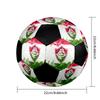 SIZE 5 Fluminense FC Soccer Ball Colorful All Ages Machine Stitched PVC Competition Ready Durable High-Bounce