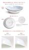 natural69 Hasami Ware Set Curry Pasta Set Natural 69 Hasami Ware Curry Pasta Large Microwave Dishwasher Made in Stylish and Nordic Japanese
