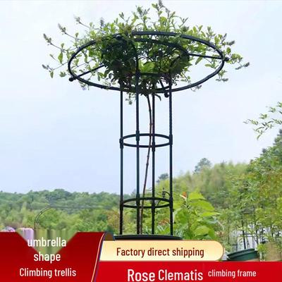 Paraplu-vormige ijzeren bloemenstandaard - Klimrek voor rozen en clematissen voor balkon en buitentuin