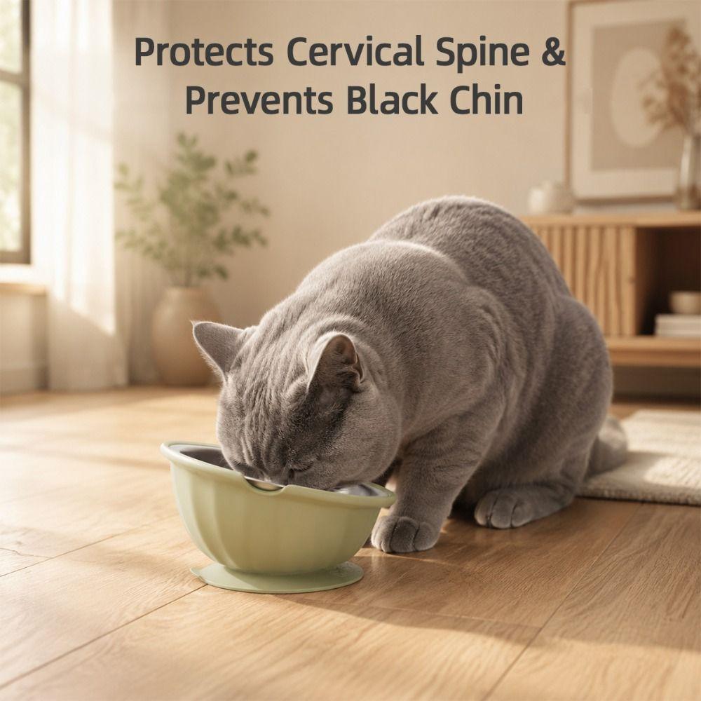 Non-Slip 2 in 1 Pet Feeder Stainless Steel Bowl Slow Feeder Bowl Pet Feeding Dish Dog Water Bowl