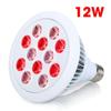 2/24/54W Health Care 1LED Light Infrared Therapy Bulbs Pain Relief Massage Back Shoulder Body Heating Lamp Bulbs
