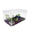 Transparent Acrylic Reptile Box For Spiders Tortoise Lizard Breeding Insect Box Vents Sliding Small Pet Terrarium Vivarium 2020