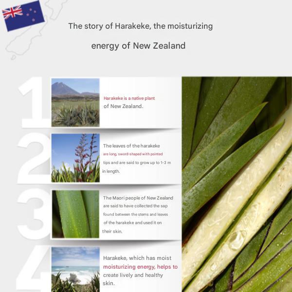 The Saem Urban Eco Harakeke Cream 50ml (3 Options)