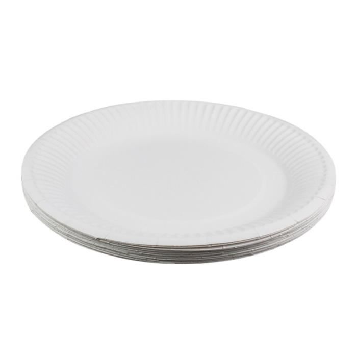 Assiettes en papier jetables - faux glacons - 100 pcs - 6 pouces - qualité supérieure - blanc
