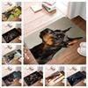 Doberman Printing Non-Slip Small Rug Waterproof Easy To Clean Floor Mat for Indoor Outdoor Use Durable Home Decor Fashion Beauty