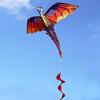 140cm x 120cm Celsius 55 x 47 Inch Dragon Kite Single Line Flying Kite with Tail 100m Flying Line for Kids Adults