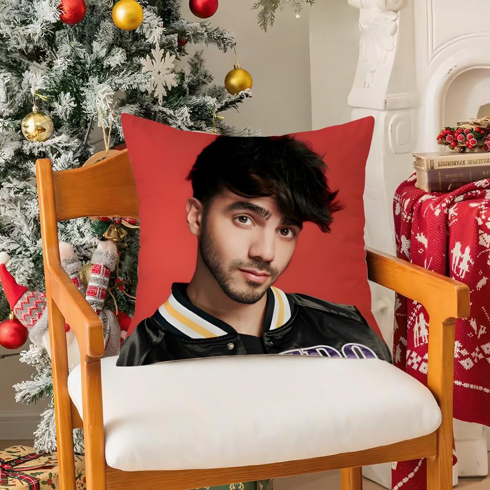 Internet Meme Celebrities FFede Vigevani Pillow Case Silky Short Plush With Invisible Zipper Dustproof Sofa Cushion Cover