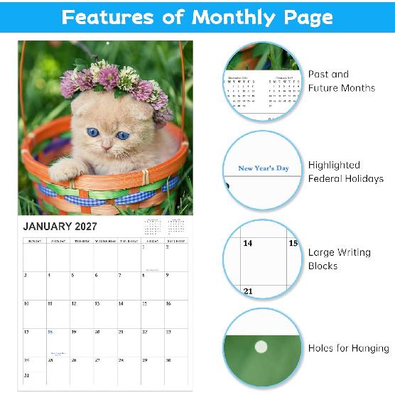 2026-2027 Calendar - 18 Monthly 2026-2027 Wall Calendar, Jan. 2026 - Jun. 2027, Cat Calendar with Unruled Blocks, Wall Calendar for Office School