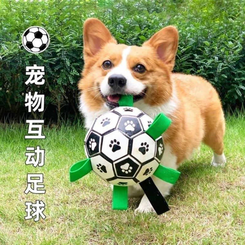 Small Dog Toy Dog Boredom-relieving Football Corgi Small and Large Dog Interactive Pet Ball