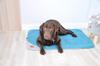 Dante Quilted Gray Mat/Blanket 100cm x 70cm