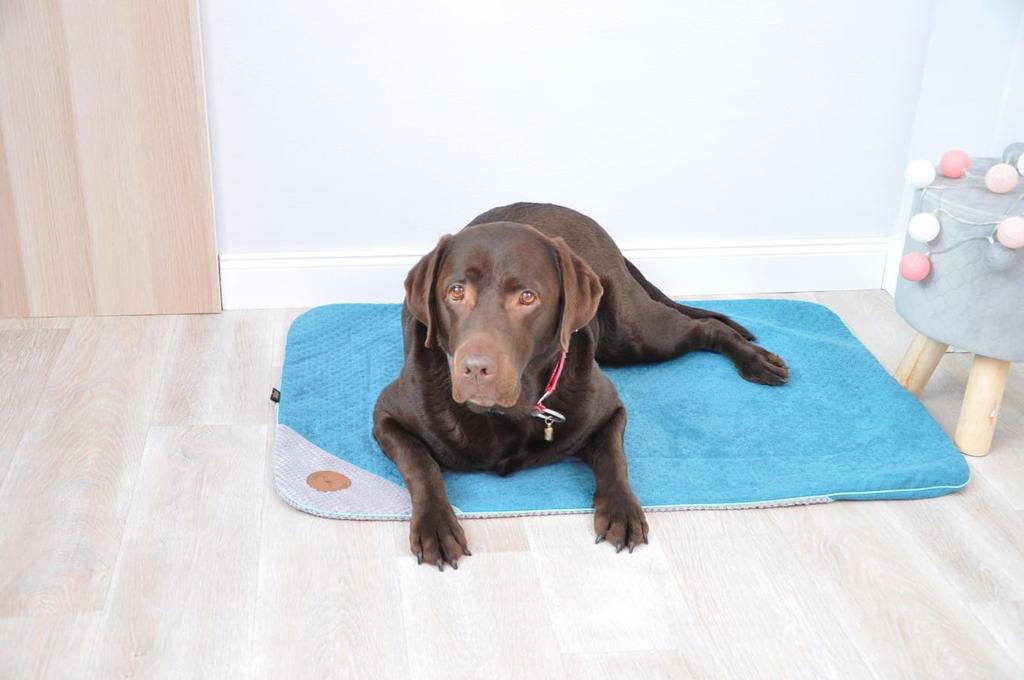 Dante Quilted Gray Mat/Blanket 100cm x 70cm
