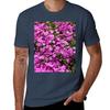 Creeping Phlox Tshirt T Shirts For Unisex Cotton Funny Tshirt