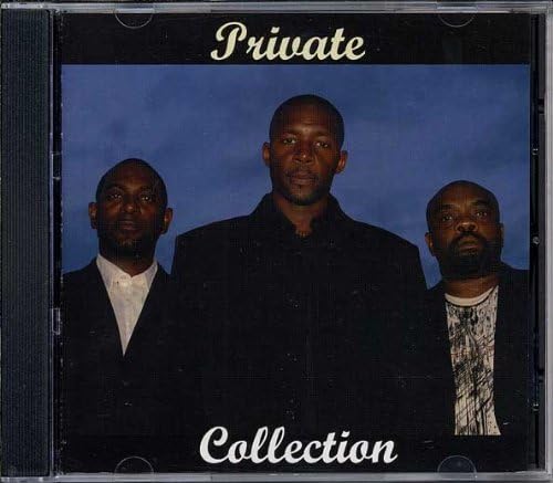 

CD HOROWITZ (VLADIMIR) - Private Collection Non Japan Classical Used