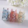 Korean Temperament Ponytail Jelly Colors Hair Claws Bathing Clips Hair Grab Grab Clips