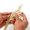 Dinosaur Skeleton DIY Toys Educational Puzzles Model Set For Kids Over 6 Years Old