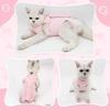 Katzen-Operations-Erholungsanzug - Leckschutz-Einteiler für Bauchwunden, Erholungs-Bodysuit für Katzen & Kätzchen nach Kastration/Sterilisation