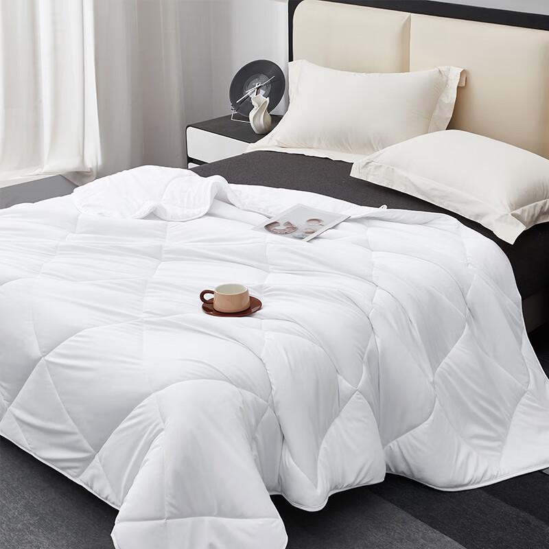 

Mengjie Ultra-Soft Four Seasons Quilt