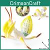 Authentic Insect Replica For Educational Use And Collectors Display