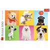 37378 "500 - Dogs" / Trefl