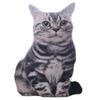 1PC 50CM 3D Simulation Cats Pillow Cute Animal Washable Plush Stuffed Kids Toy Sofa Pillows Home Decoration Kawaii Room Decor