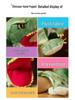 Cute Cartoon Parent-Child Plush Puppet: Dinosaur, Whale, Crocodile, Shark