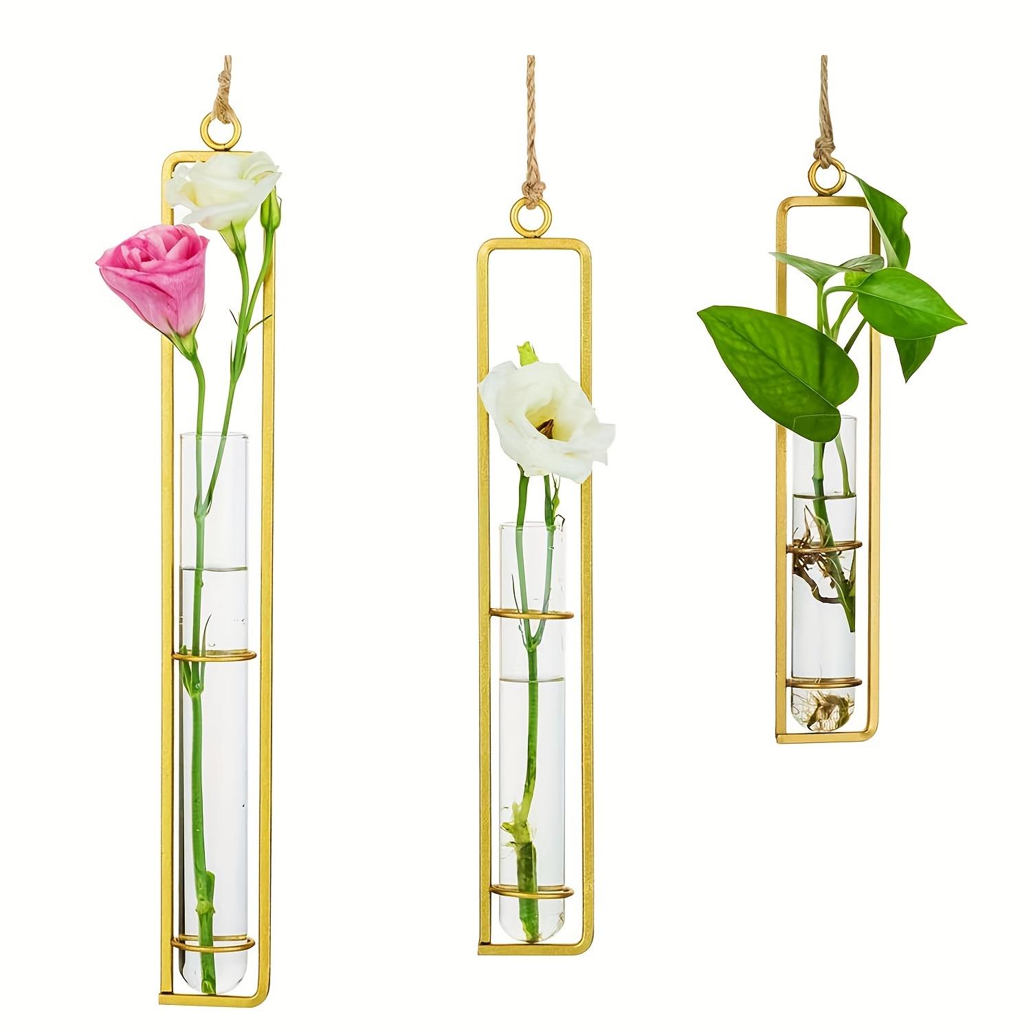 

3 Pcs Set Test Tube Wall Hanging Flower Cultivation, Home Decoration