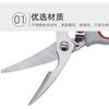Kitchen Scissors Household Multifunctional Chicken Bone Scissors Supplementary Food Stainless Steel  Tools