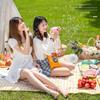 Thickened Waterproof Outdoor Picnic Mat - Camping, Beach, Tent, and Lawn Cushion