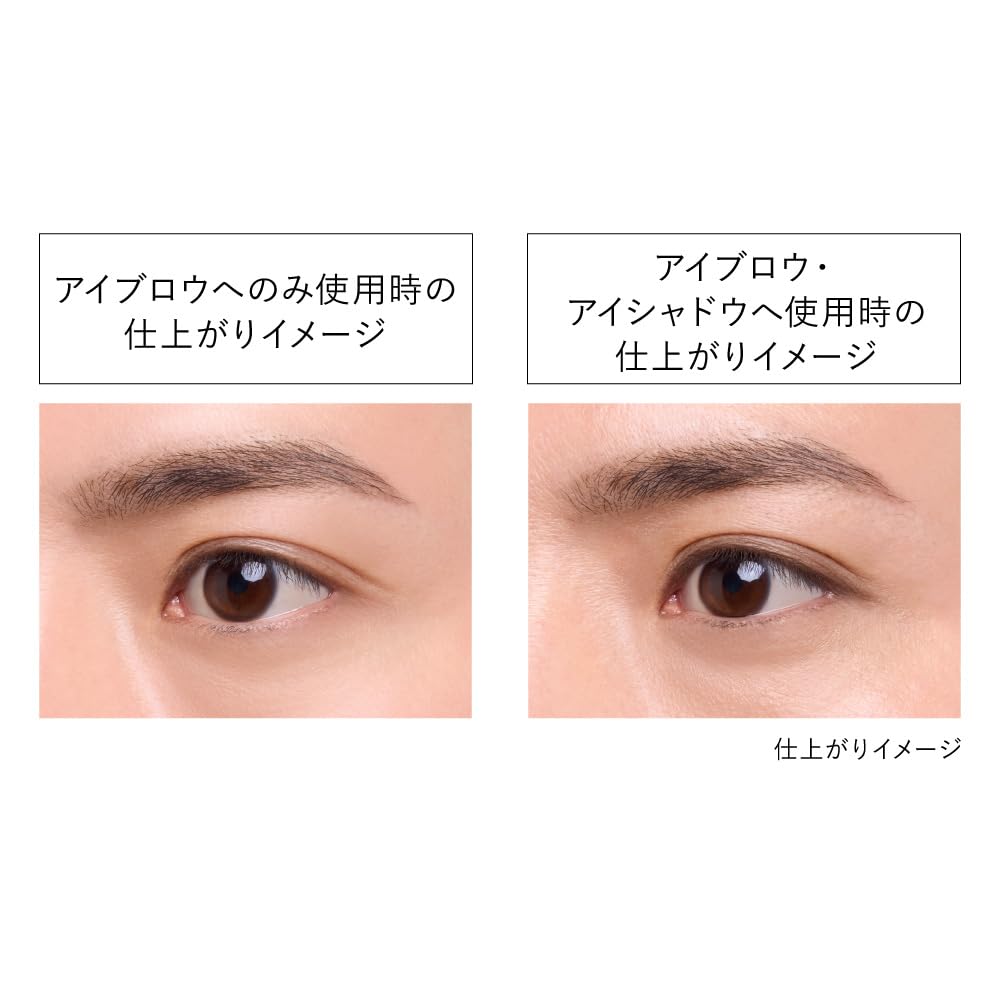 KANEBO Eye Shade Gradient EG1 [Eyebrow] Cool Brown