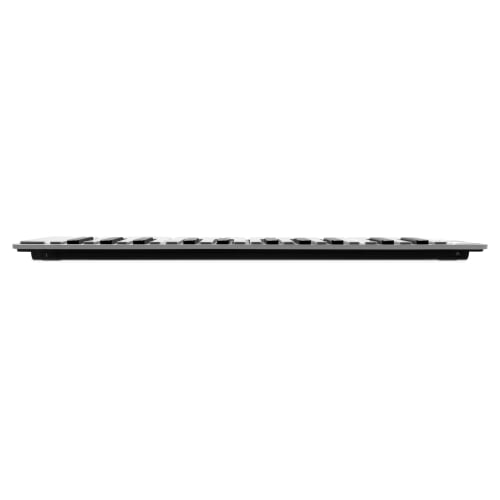 ESI Xkey 25 Ultra-Thin and Lightweight Full-Size MIDI Keyboard for Mobile Production