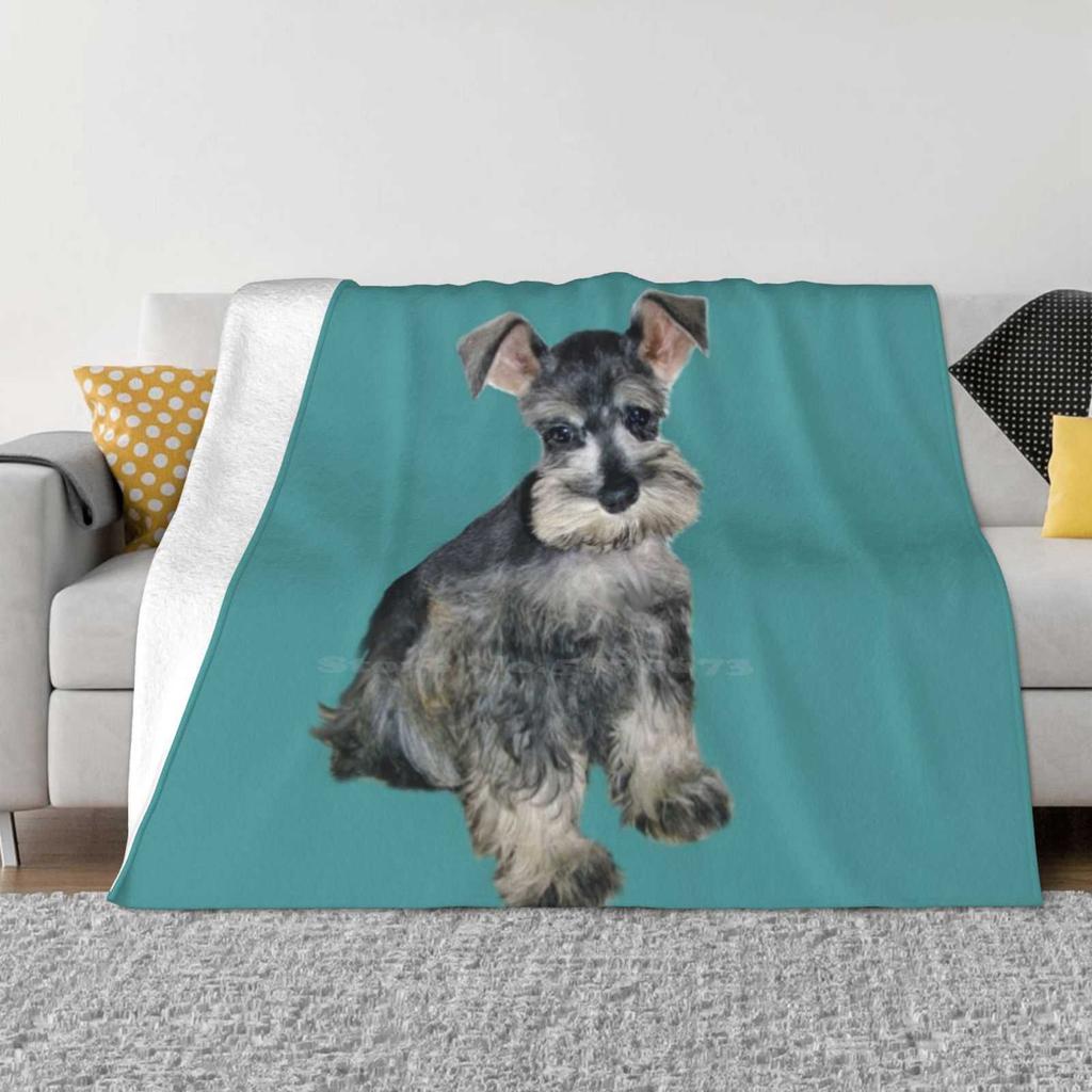 Schnauzer-Miniature ( #3 ) Top Quality Comfortable Bed Sofa Soft Blanket Schnauzer Art Just The Schnauzer Puppy Jean B Dogs Dog