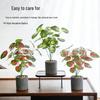 Decoração de casa – Flores e coroas artificiais