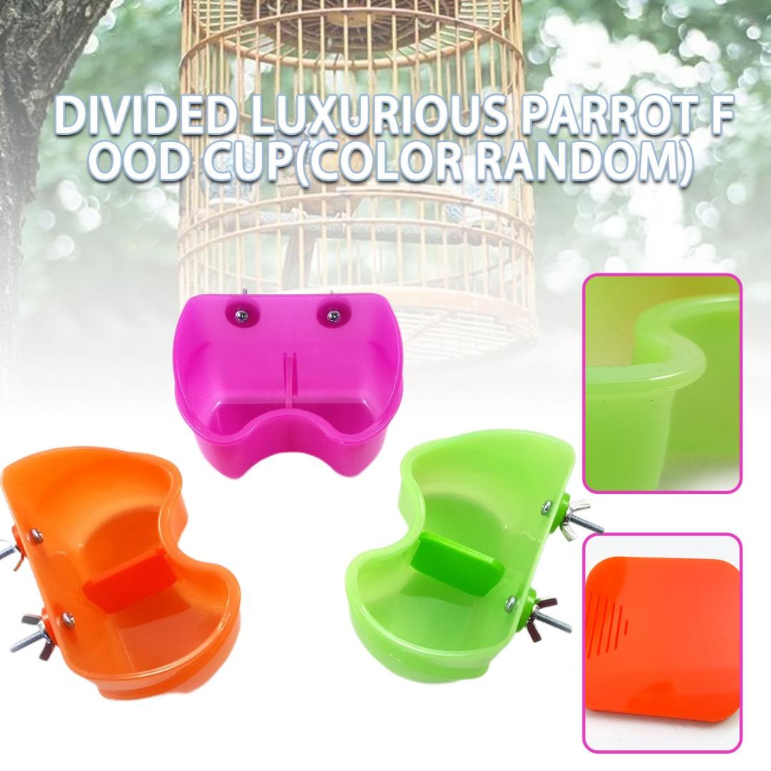 

PDTO пластиковая миска для кормления для попугаев, сиамская кормушка для птиц, коробка для еды, чашки для воды